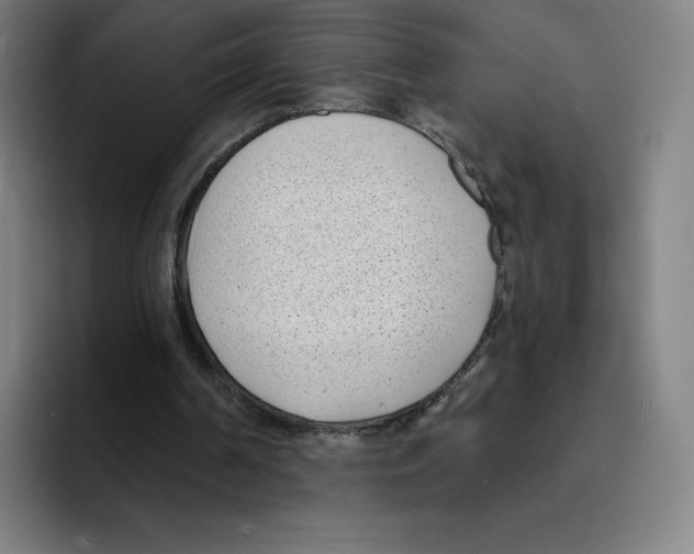 X0000094920194200712271539