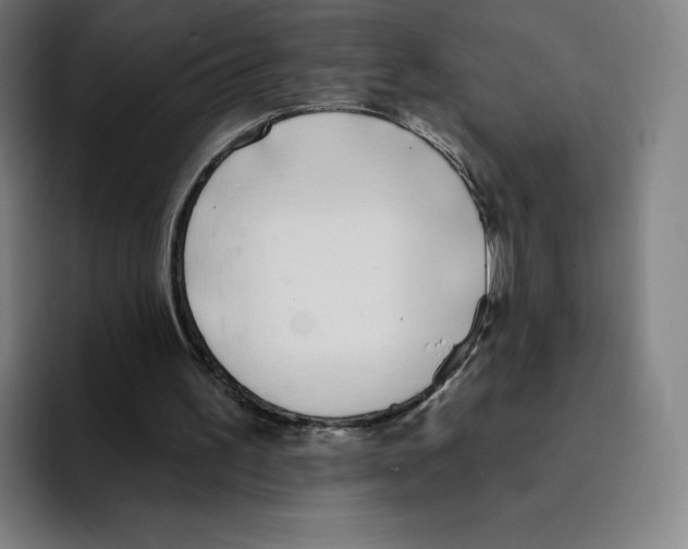 X0000094920195200712271539