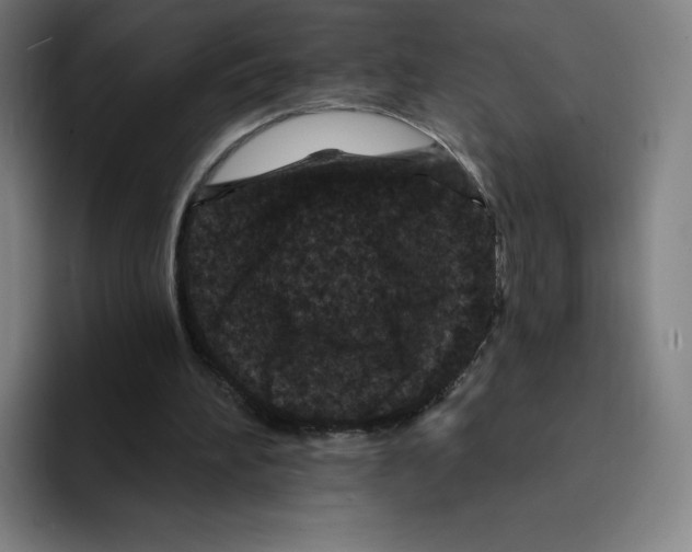 X0000094920196200712271539