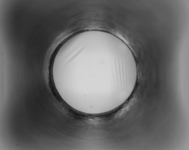 X0000094920199200712271539