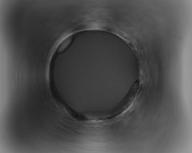 X0000094920200200712271539