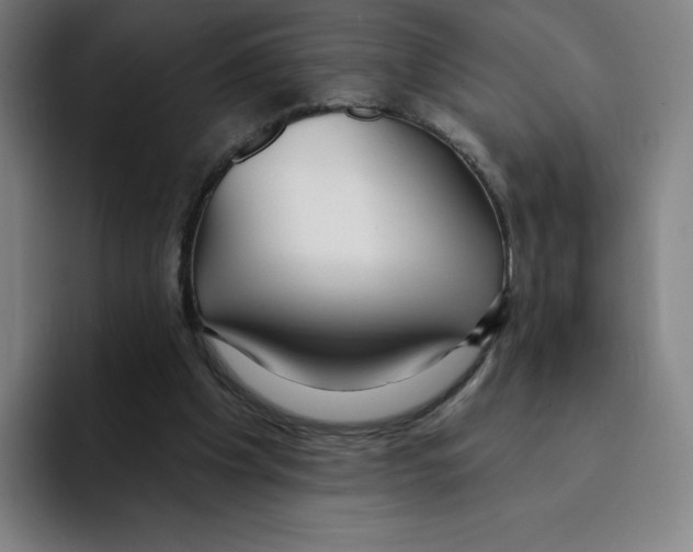 X0000094920201200712271539