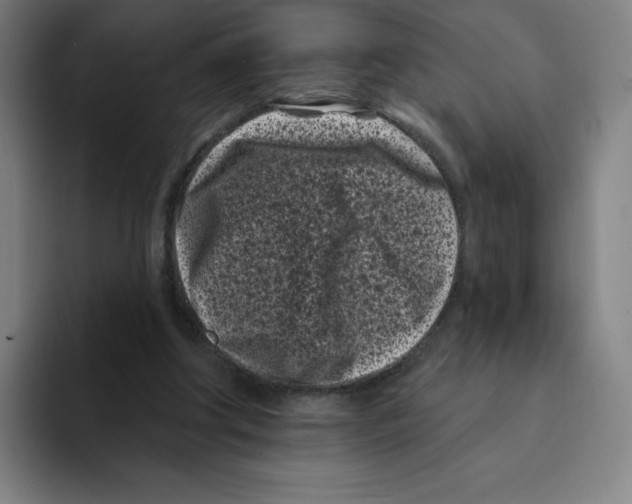 X0000094920202200712271539