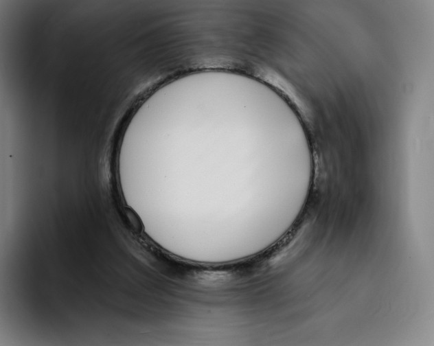 X0000094920203200712271539