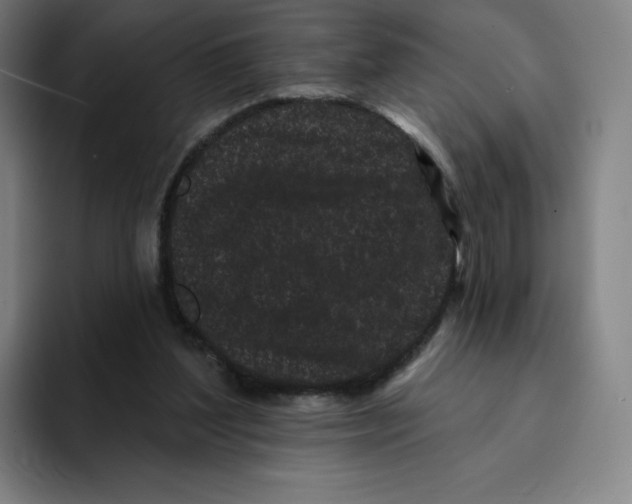 X0000094920204200712271539