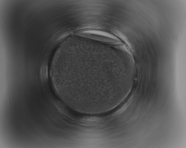 X0000094920205200712271539