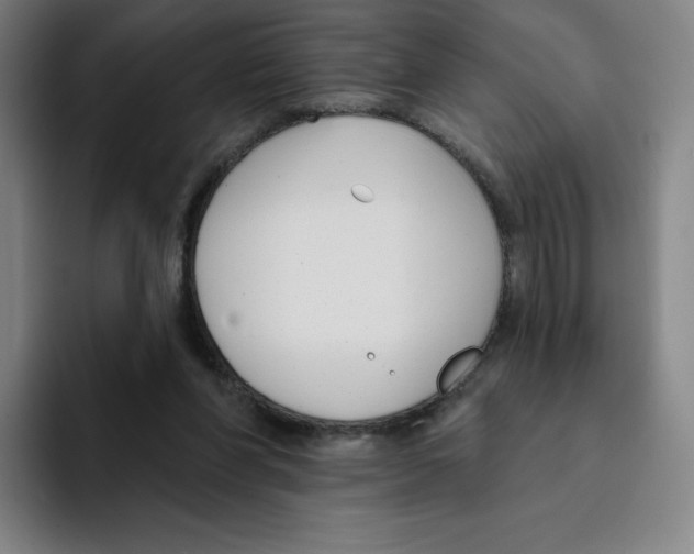 X0000094920206200712271539