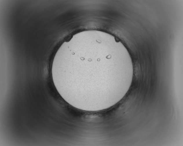 X0000094920208200712271539