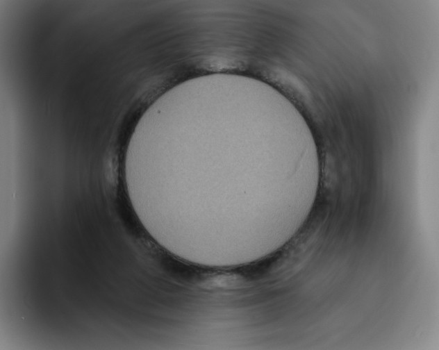 X0000094920210200712271539