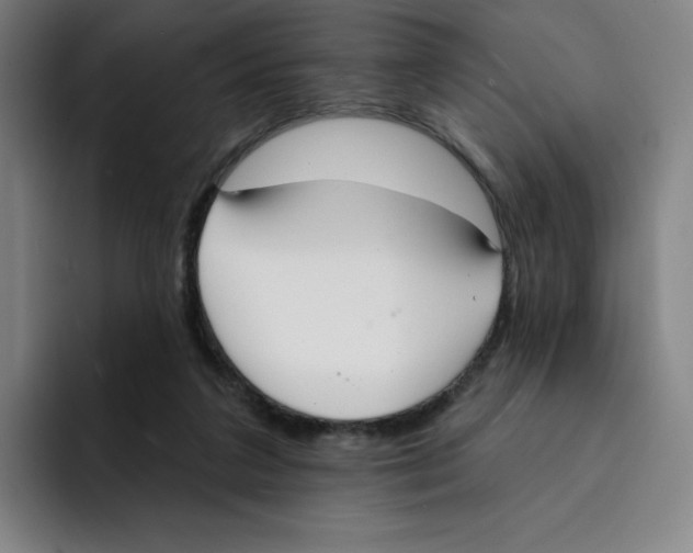 X0000094920211200712271539