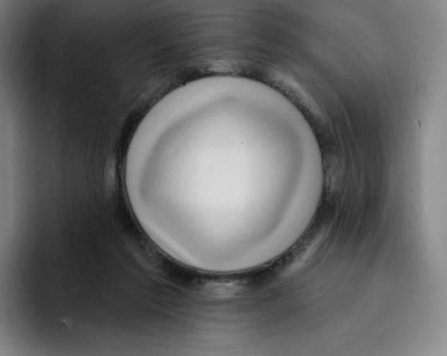 X0000094920213200712271539