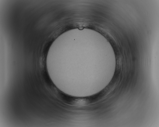 X0000094920218200712271539