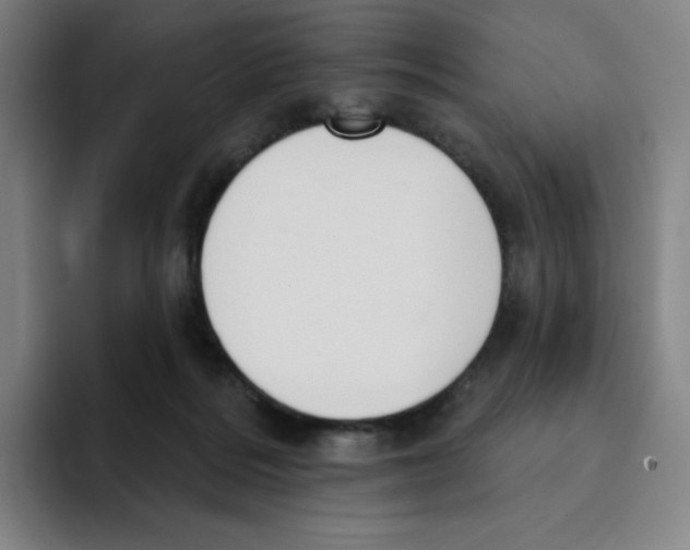 X0000094920220200712271539