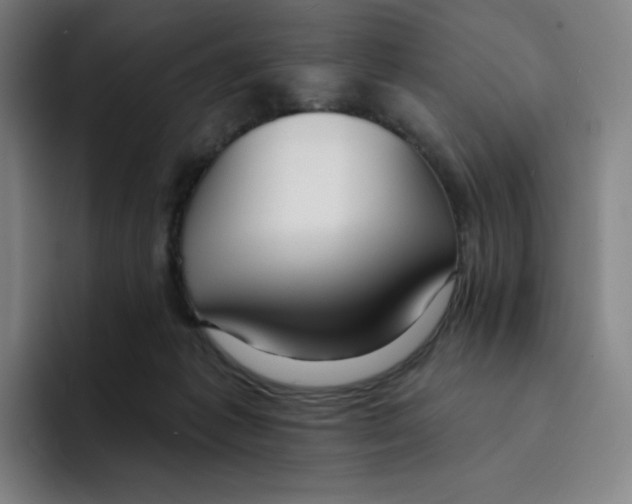 X0000094920221200712271539