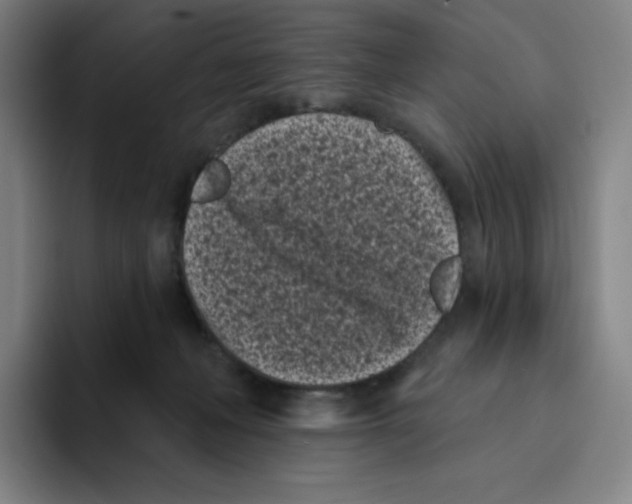 X0000094920222200712271539