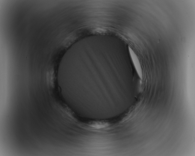 X0000094920223200712271539