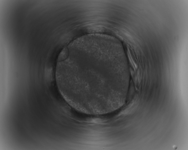 X0000094920224200712271539