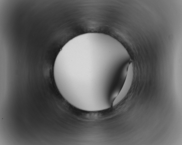X0000094920225200712271539