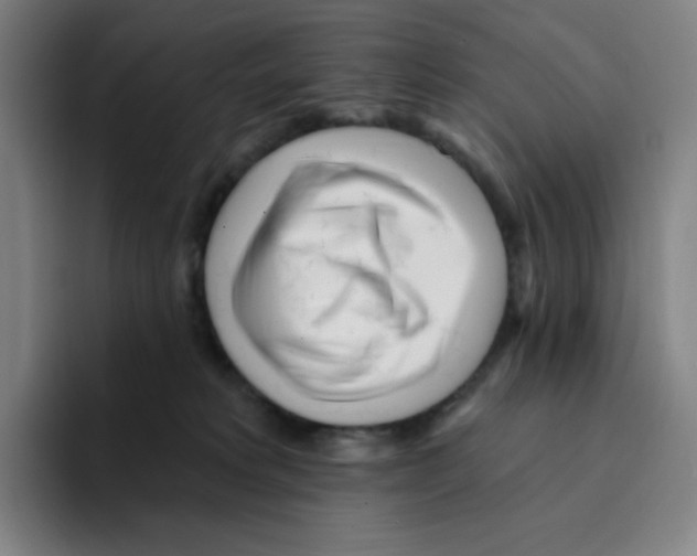 X0000094920229200712271539