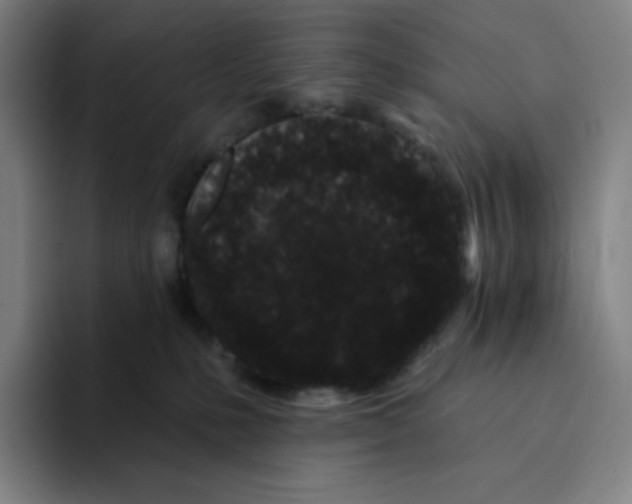X0000094920231200712271539