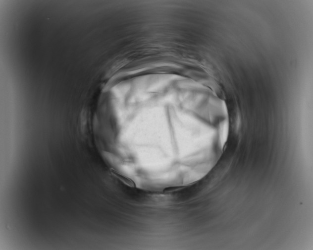 X0000094920233200712271539