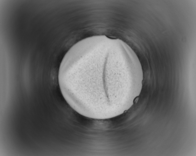 X0000094920234200712271539