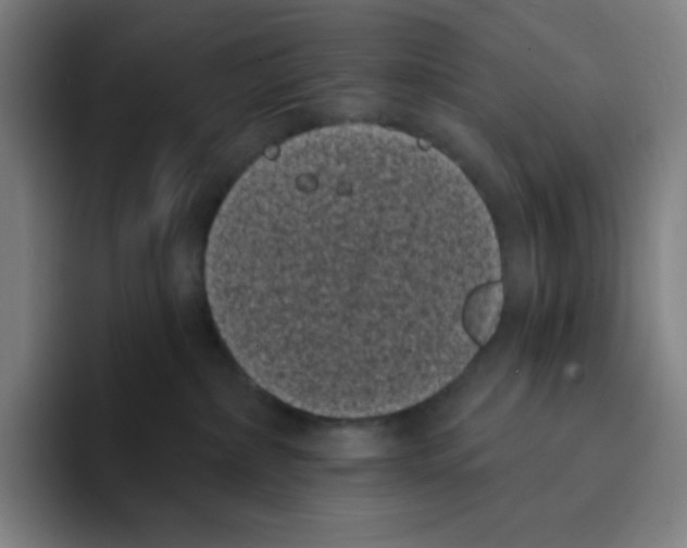 X0000094920236200712271539