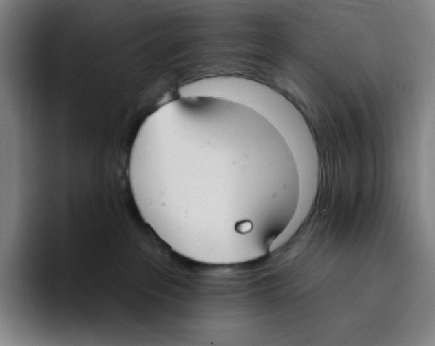 X0000094920237200712271539