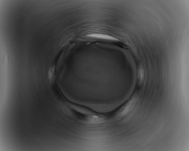 X0000094920239200712271539