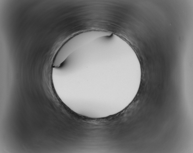 X0000094920241200712271538
