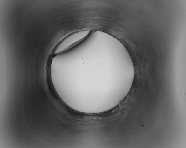 X0000094920242200712271538