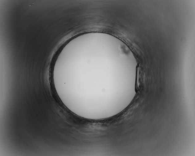 X0000094920244200712271538