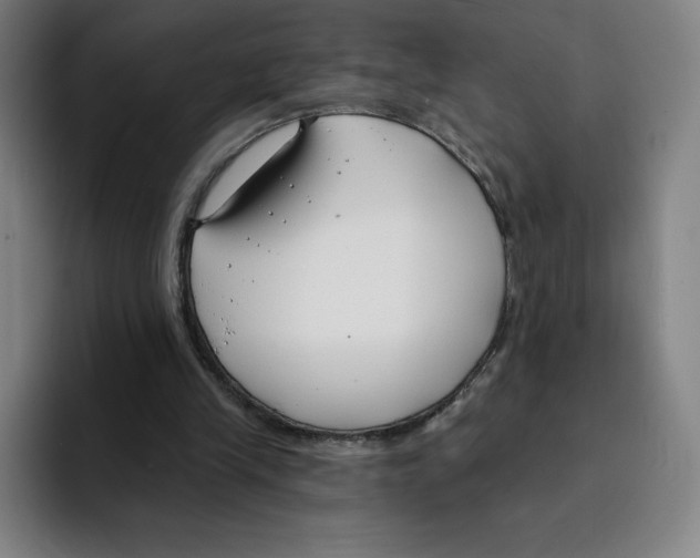 X0000094920245200712271538