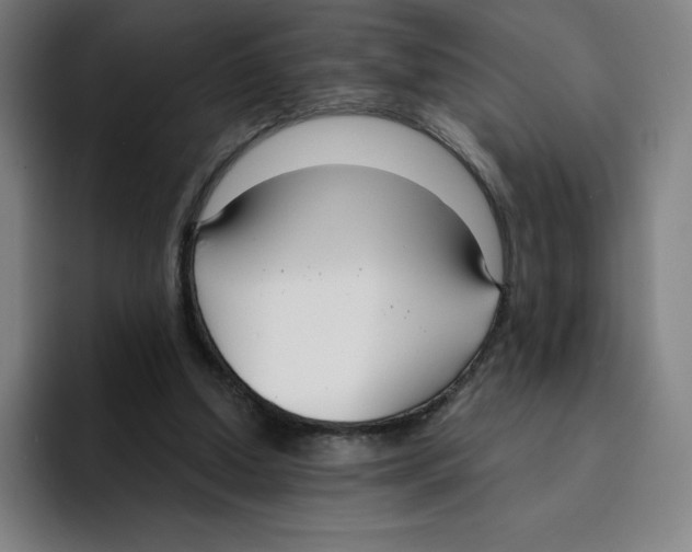 X0000094920250200712271538