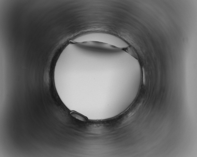 X0000094920252200712271538