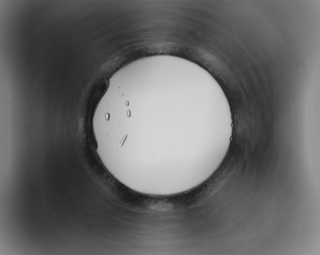 X0000094920258200712271538