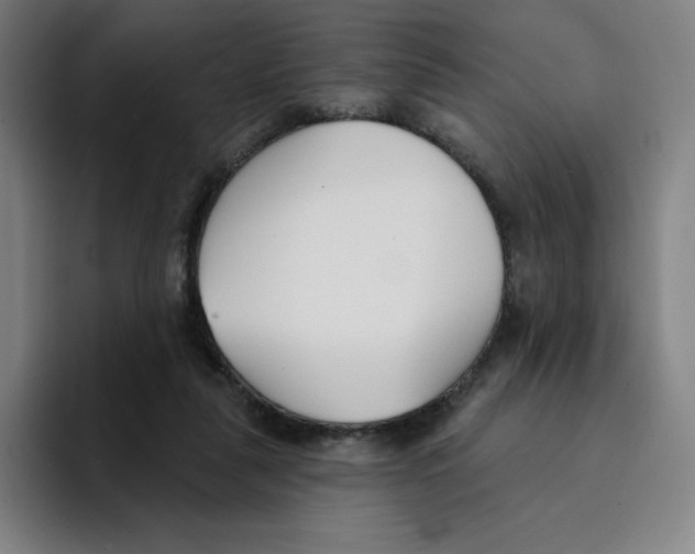 X0000094920259200712271538