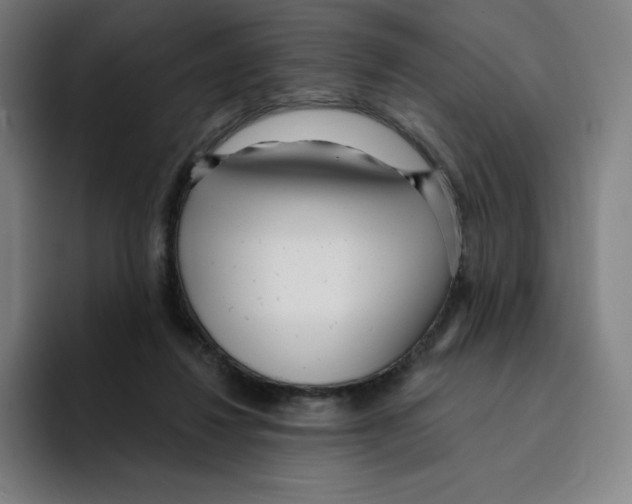 X0000094920260200712271538