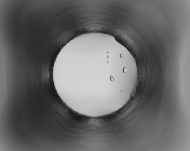 X0000094920261200712271538