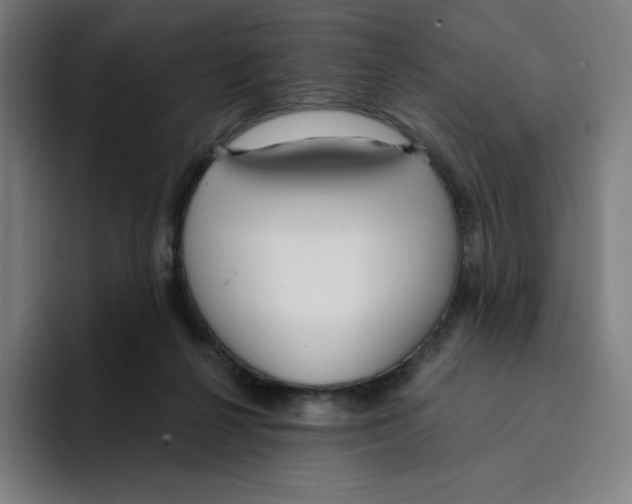 X0000094920264200712271538