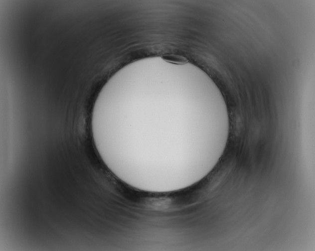 X0000094920266200712271538