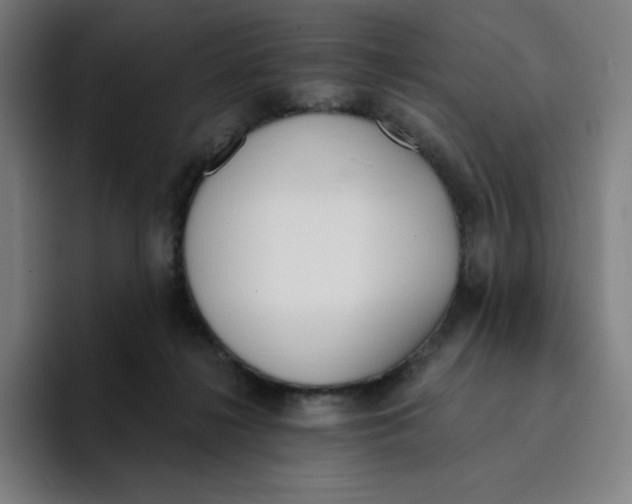 X0000094920268200712271538