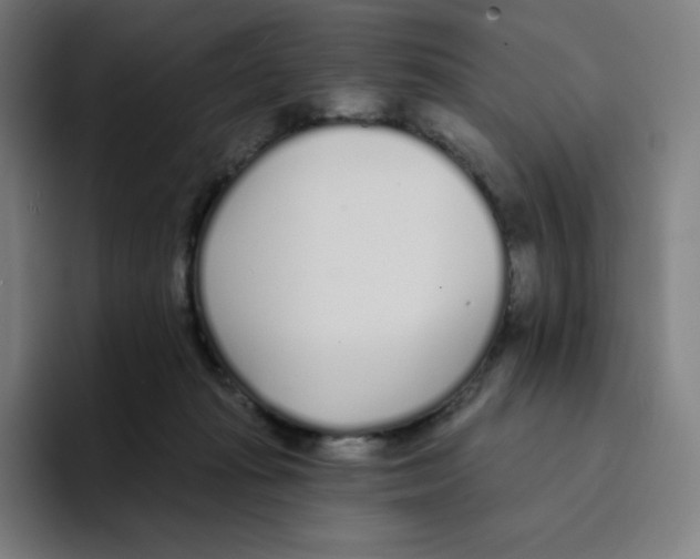 X0000094920269200712271538
