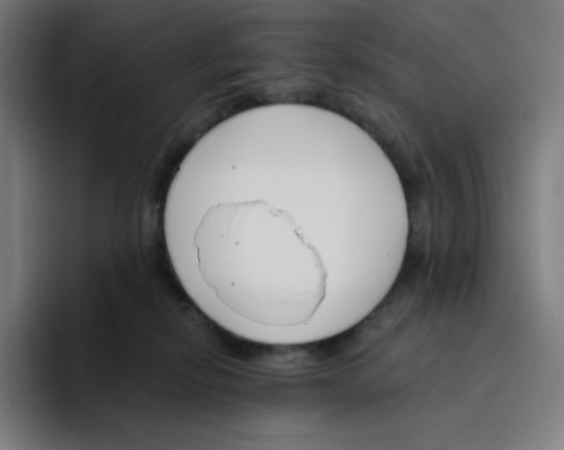 X0000094920278200712271539