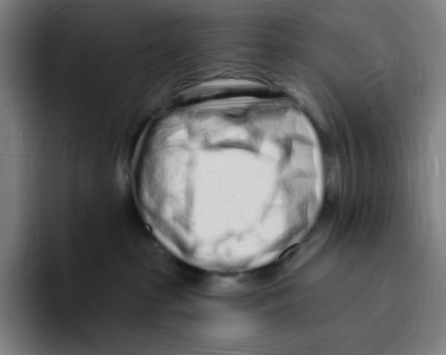 X0000094920285200712271539