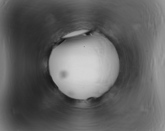 X0000094920288200712271539
