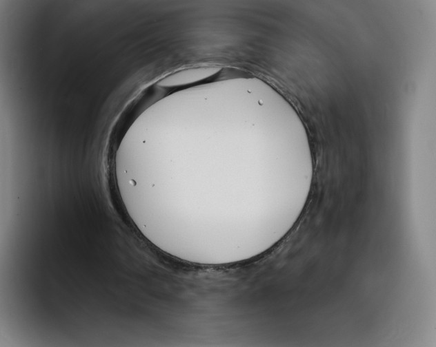X0000094920290200712271538