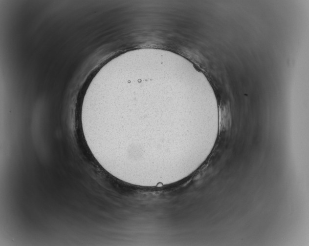 X0000094920291200712271538