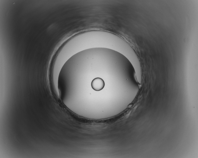 X0000094920292200712271538