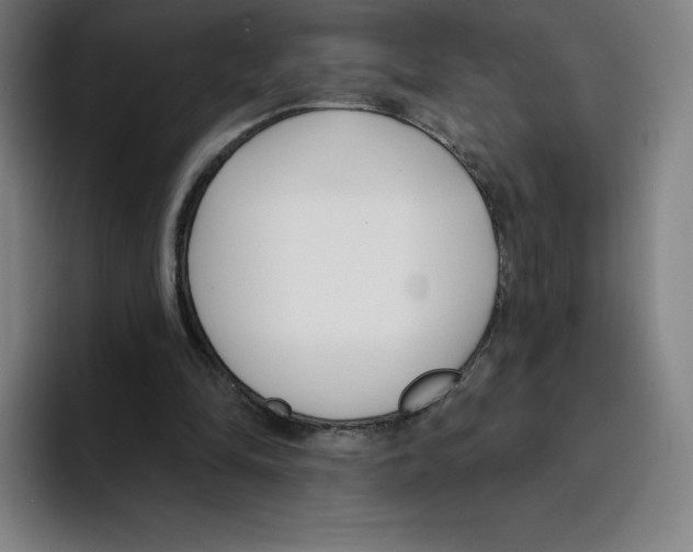 X0000094920294200712271538